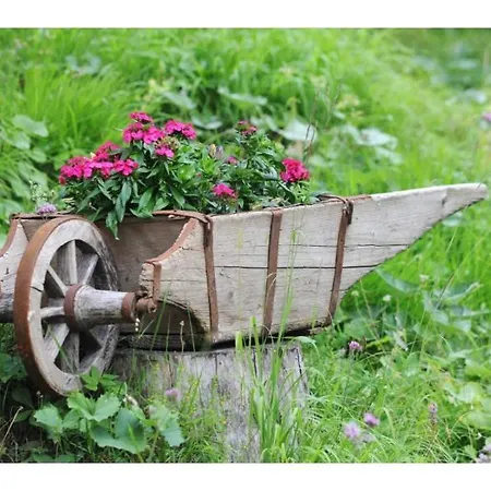 Tonkina Koca Hébergement de vacances *